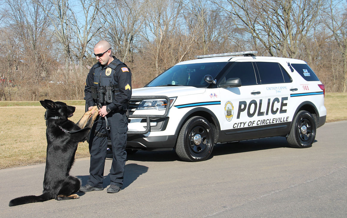 K9 cruiser sales