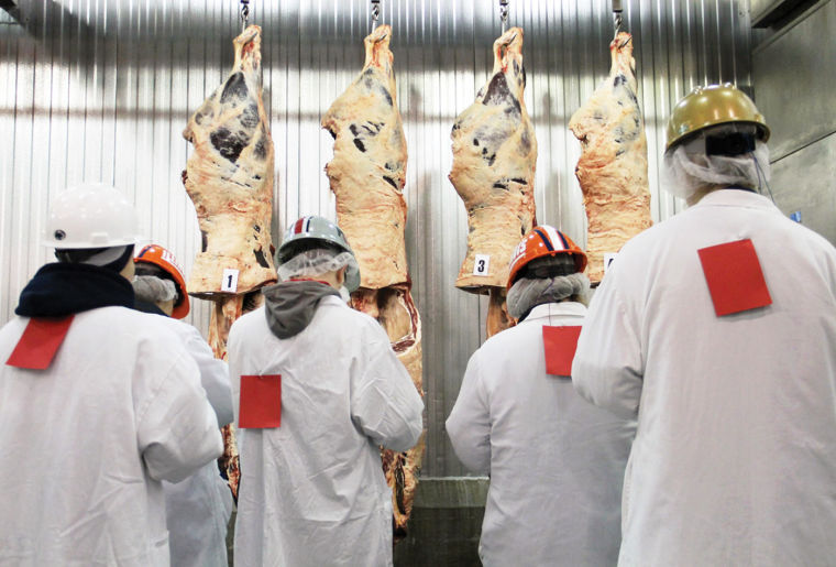 PCI hosts annual meat judging competition News
