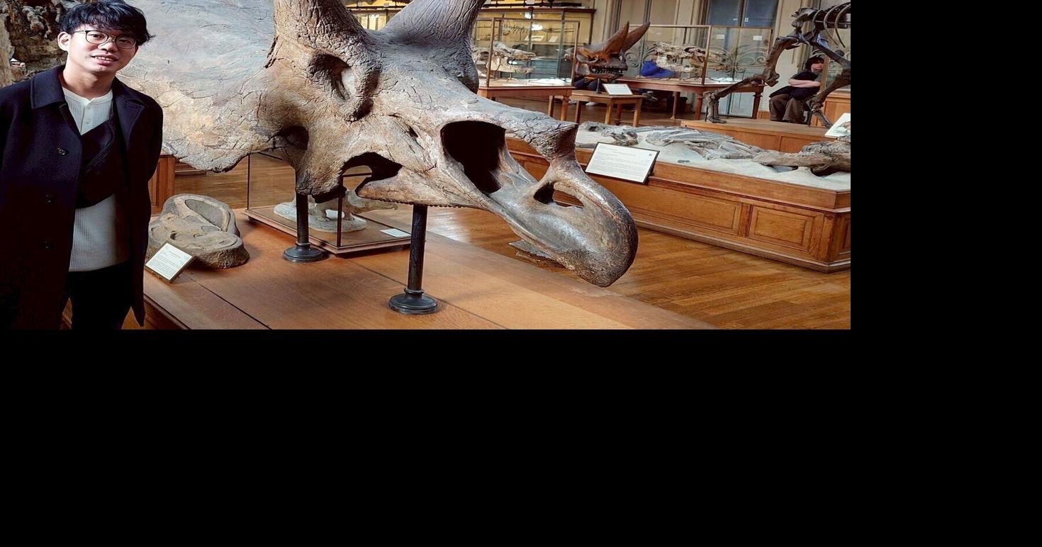 Study finds triceratops’ huge nose helped control body temperature