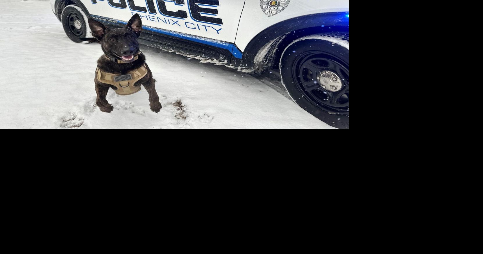 Noteworthy news from 2025