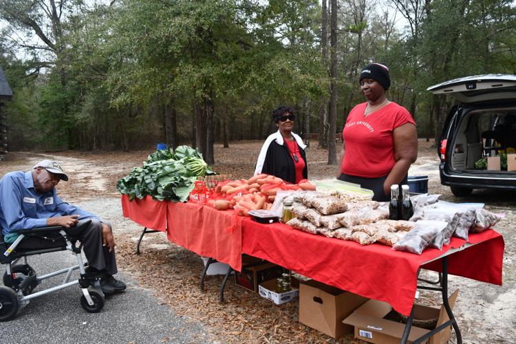 Gallery 2024 Farm Fest Lifestyle