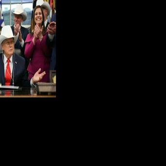 Texas primaries test parties' fault lines as US midterms loom