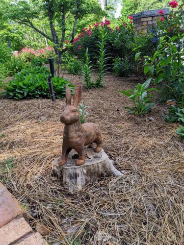 2023 Garden Tour Toad Hill rabbit statue.jpg