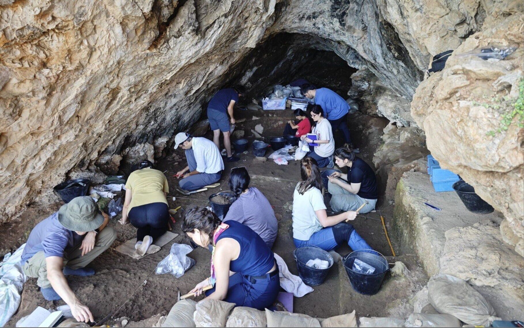 Study suggests humans and Neanderthals coexisted in same caves