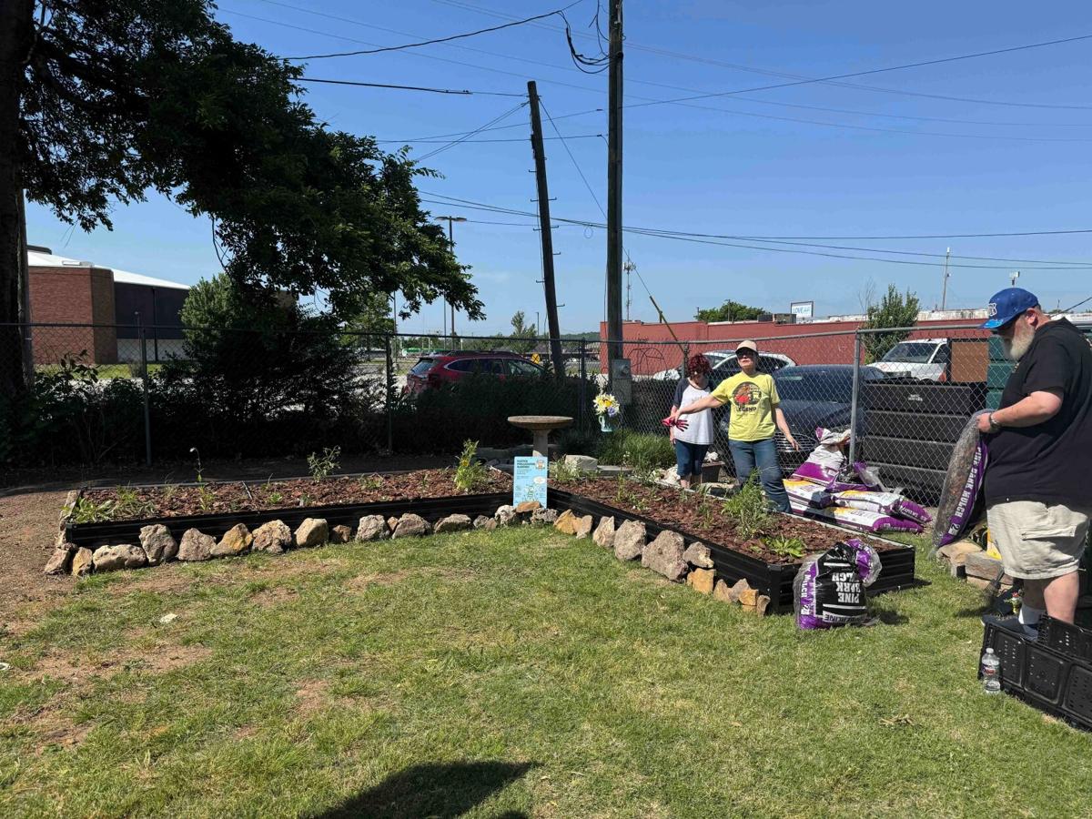 Butterflies at the Belvidere; historical society receives pollinator ...