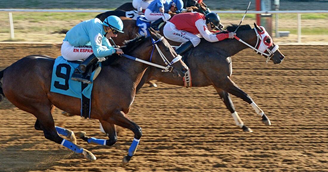 Will Rogers Downs 4 8 2025