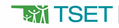 TSET