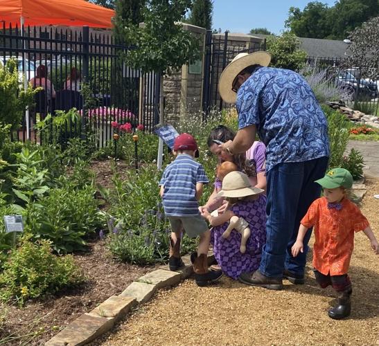 Sixth annual butterfly release honors babies lost to miscarriage ...