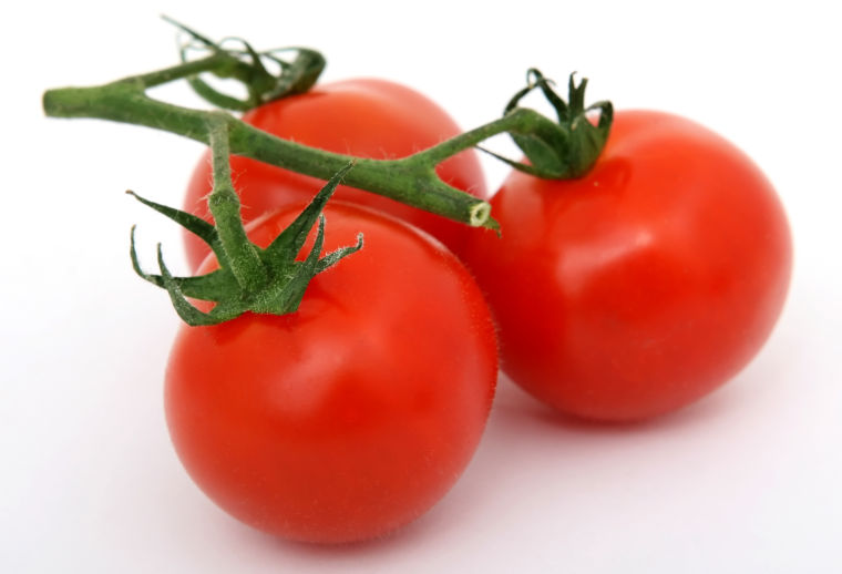 tomatoes.jpg