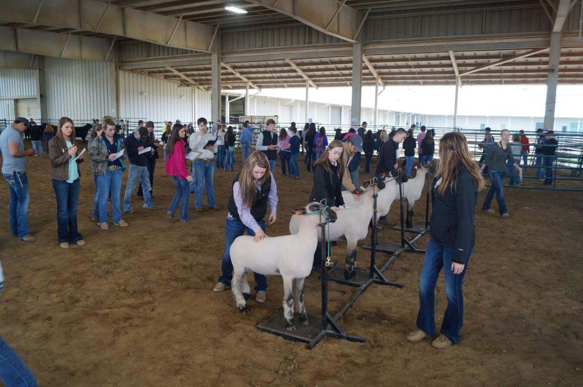 Students converge on Claremore for livestock judging event News