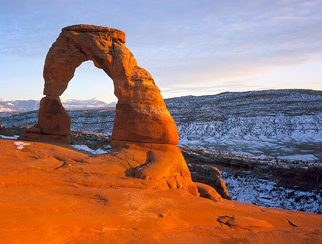 Delicatearch1.jpeg