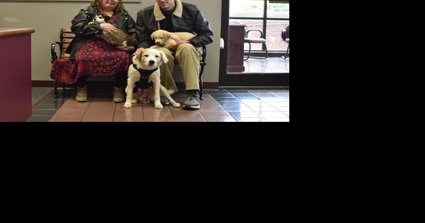 Founders of nonprofit face 34 counts of cruelty to animals News