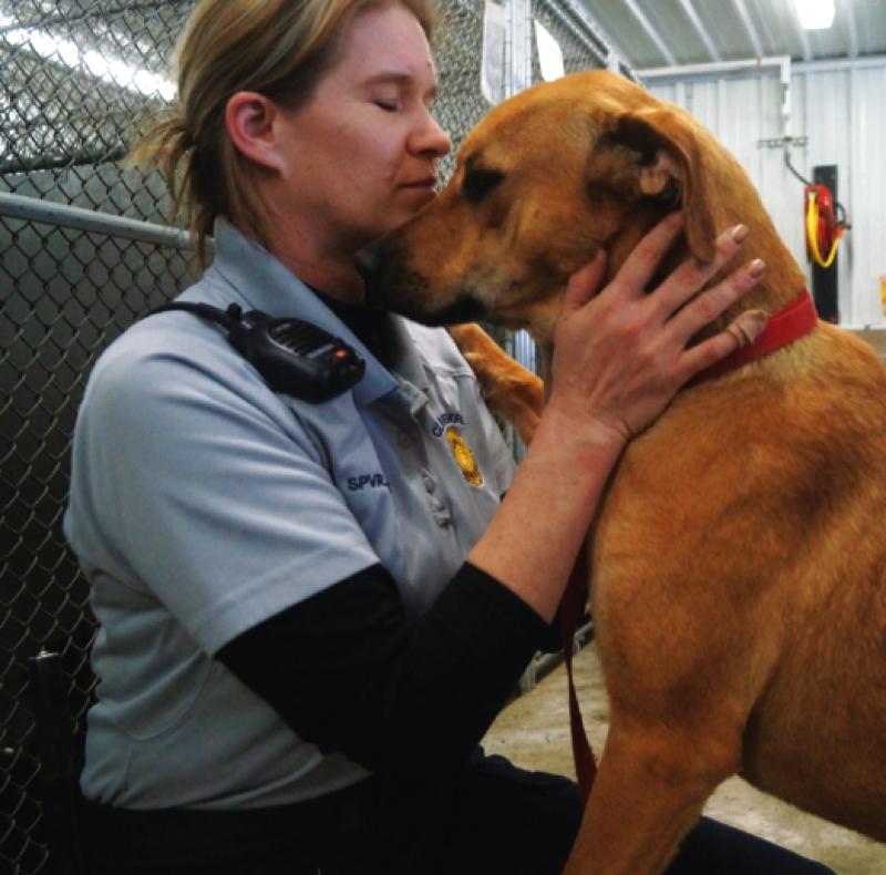Claremore Animal Shelter reports pet dropoffs have increased News