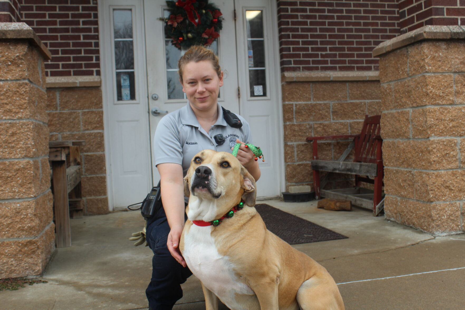 Animal shelter collects supplies Supplies can be donated for