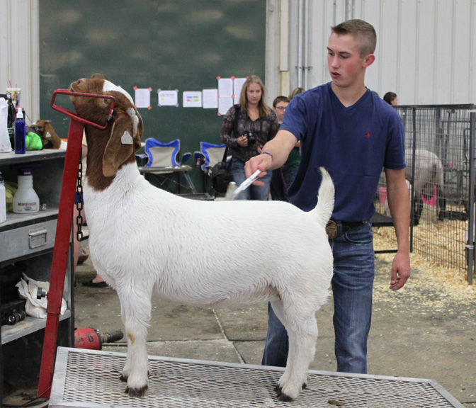 Corbin Bell and "Grace"