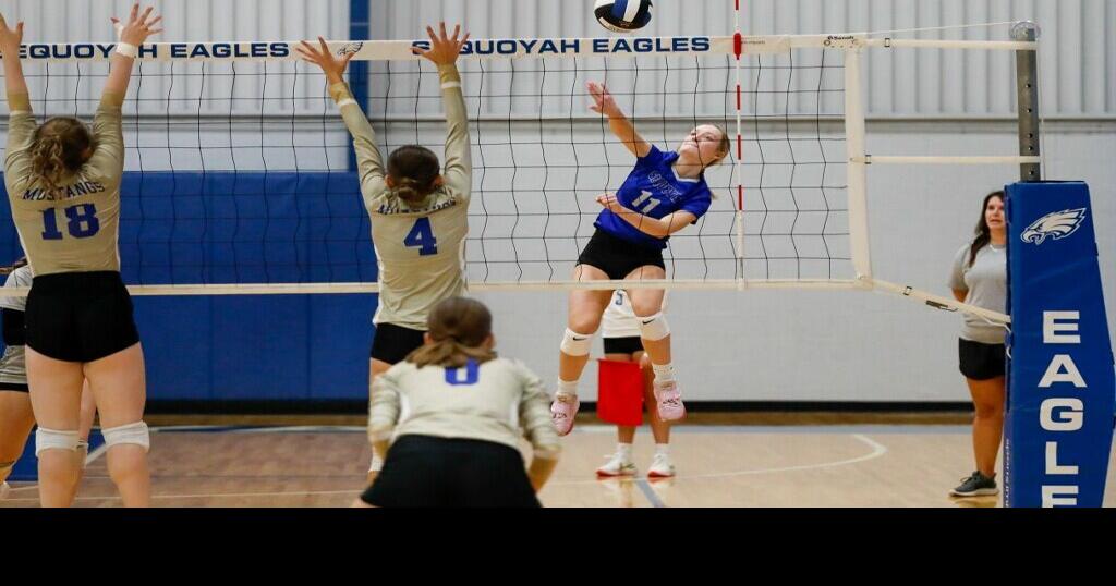 VOLLEYBALL Johnson scores 34 points as Sequoyah tops in Oologah in 4