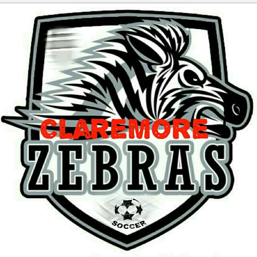 6 Zebras earn AllState soccer honors Sports