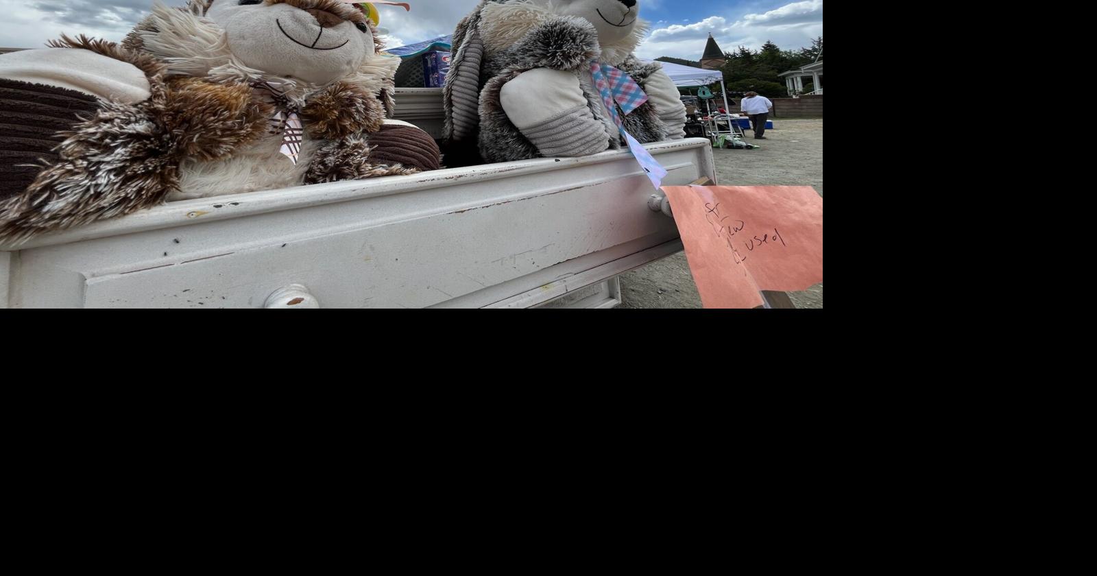 Elks bring out the bargains in Idaho Springs, for good cause