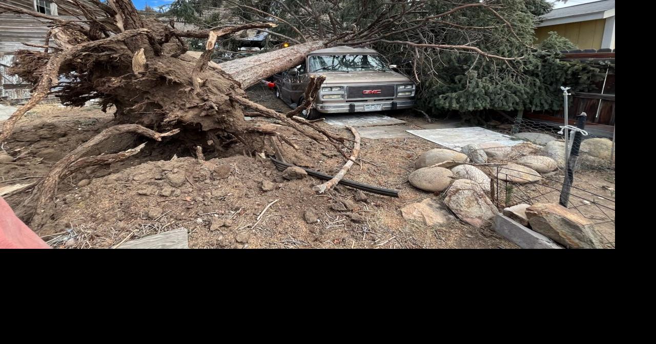 Hurricane force winds pummel Clear Creek County, mountains 