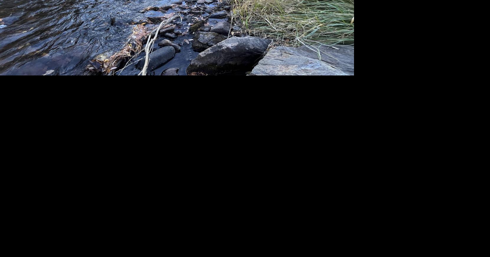 Idaho Springs water restrictions and guidelines implemented