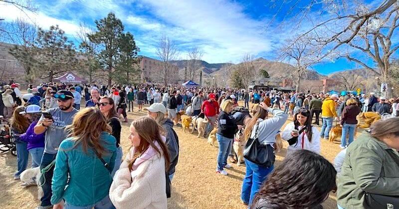 Goldens in Golden draws thousands of people and pets