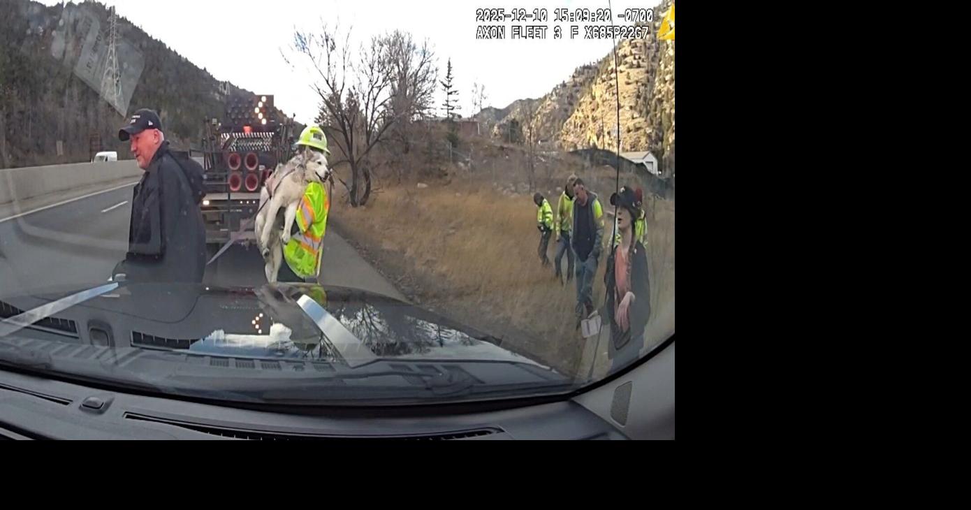Windblown Husky puppy rescued from I-70 in Idaho Springs