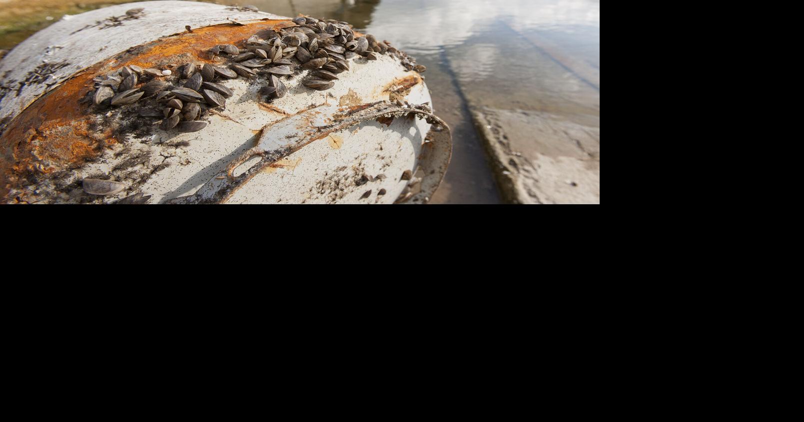 TPWD urges boaters to clean, drain and dry to prevent spread of ...