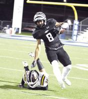 Zebras to face state’s leading rusher in area playoff game vs. Mineola