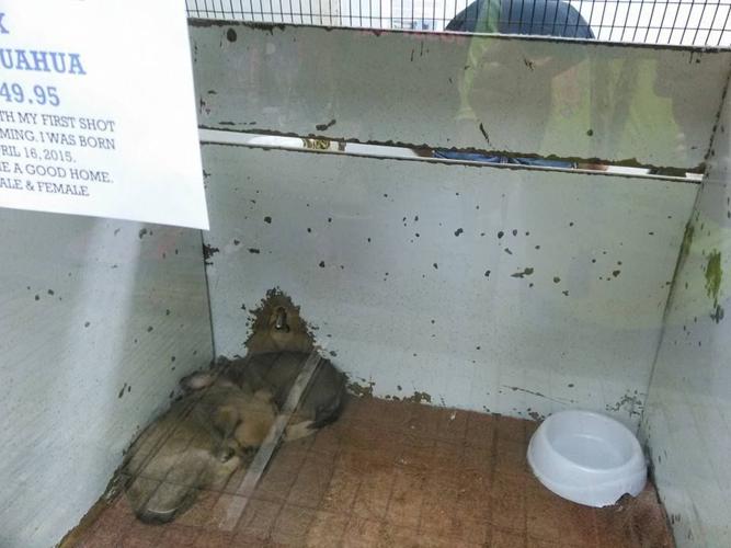 Cleburne residents unhappy with local pet shop | Local News ...