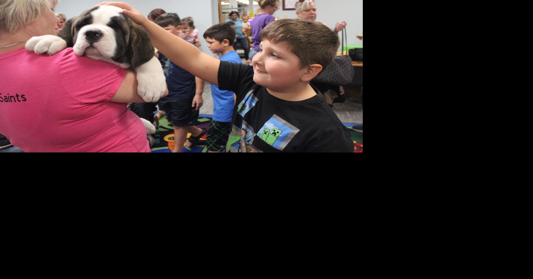 Internet safety, Saint Bernard free events at library | Local News ...