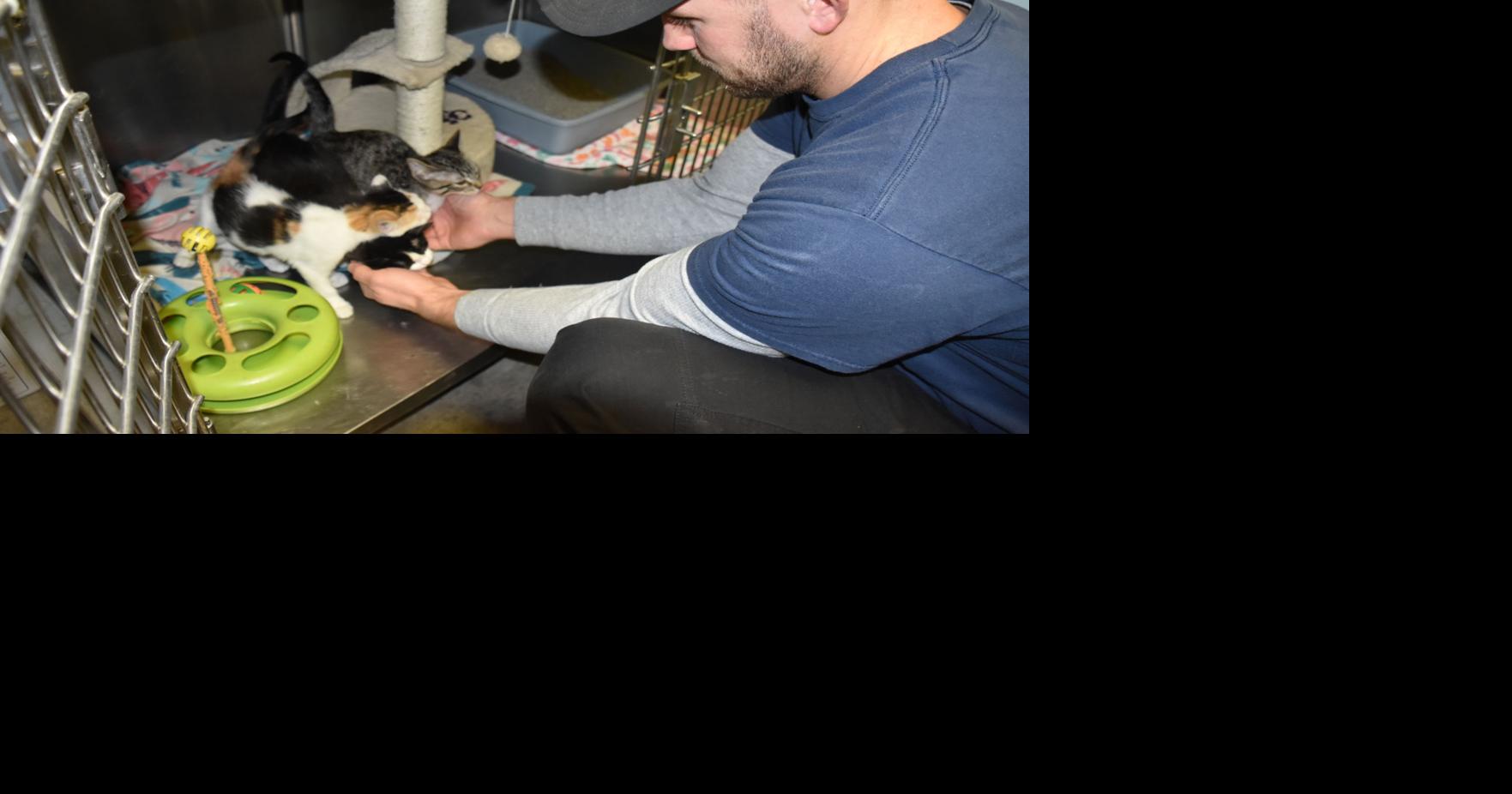 Animals seized from Pet Depot ready for adoption | Local News ...