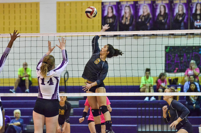 Godley volleyball aims for bounceback season | Sports ...