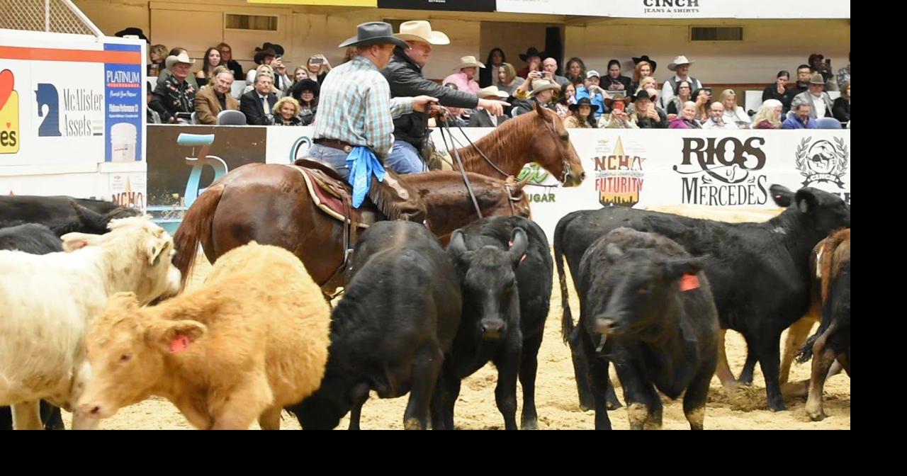 Jay Novacek competes in horse cutting Video Gallery