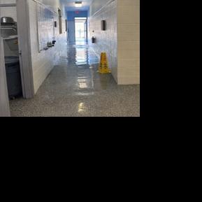 Joshua Animal Services rises above the freeze to protect its animals