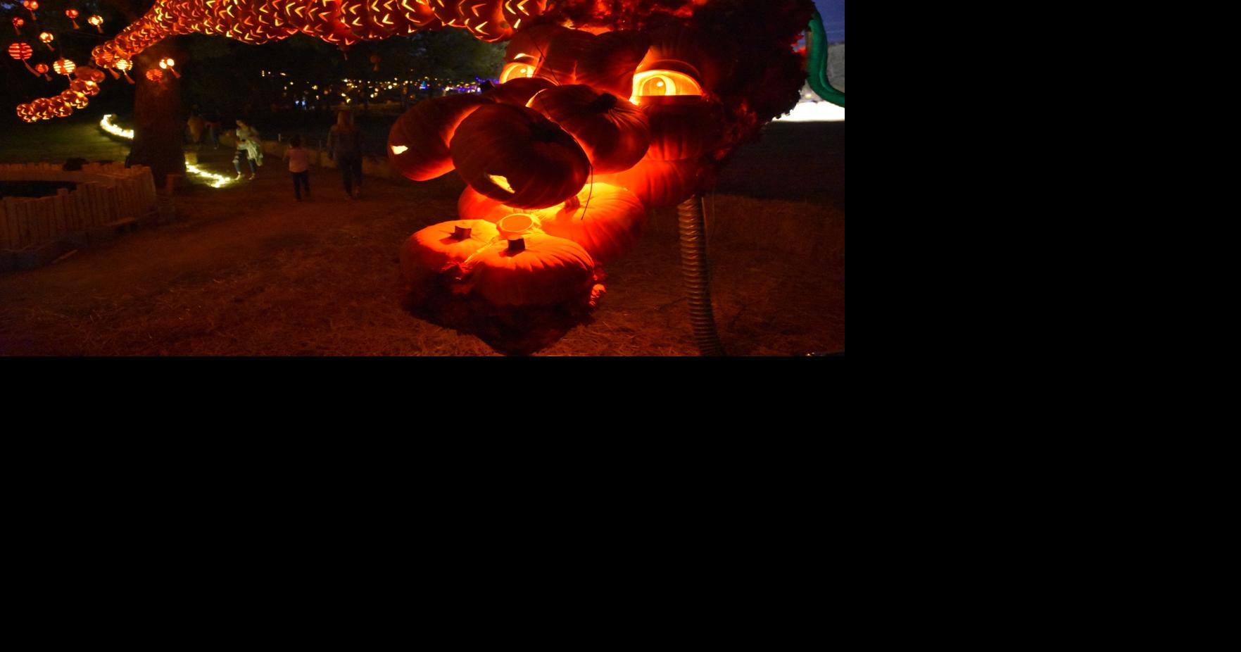 Jessica Pounds: Pumpkin Nights a delight in Arlington | Living ...