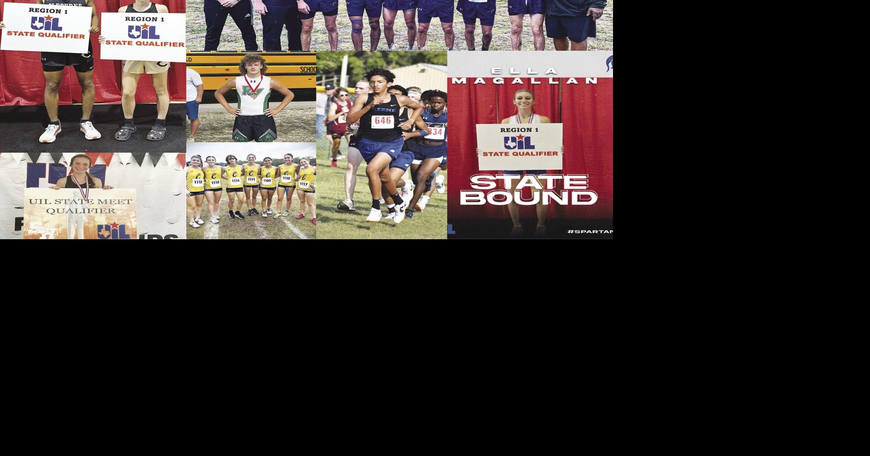 Johnson County XC teams send numerous runners to state meet | Sports ...