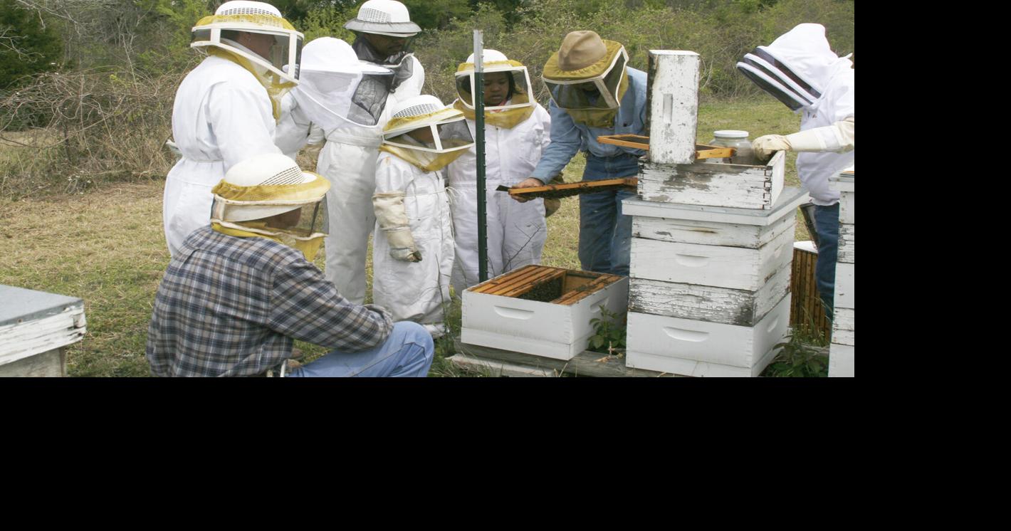 Central Texas Beekeepers School accepting students