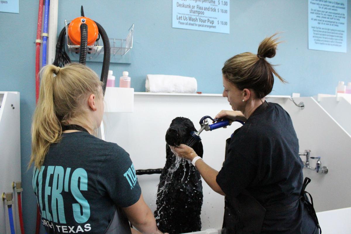 (VIDEO) Keenite opens self serve dog wash in Cleburne Local News