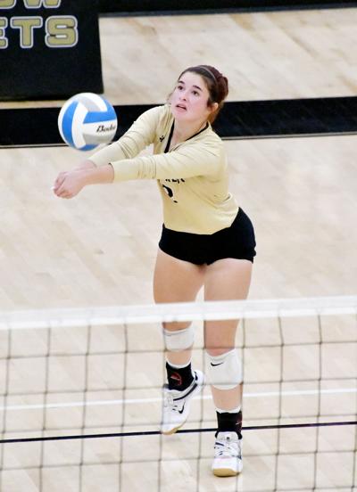 Joshua Cleburne Garner Multiple All District Honors For 14 5a Volleyball Sports Cleburnetimesreview Com