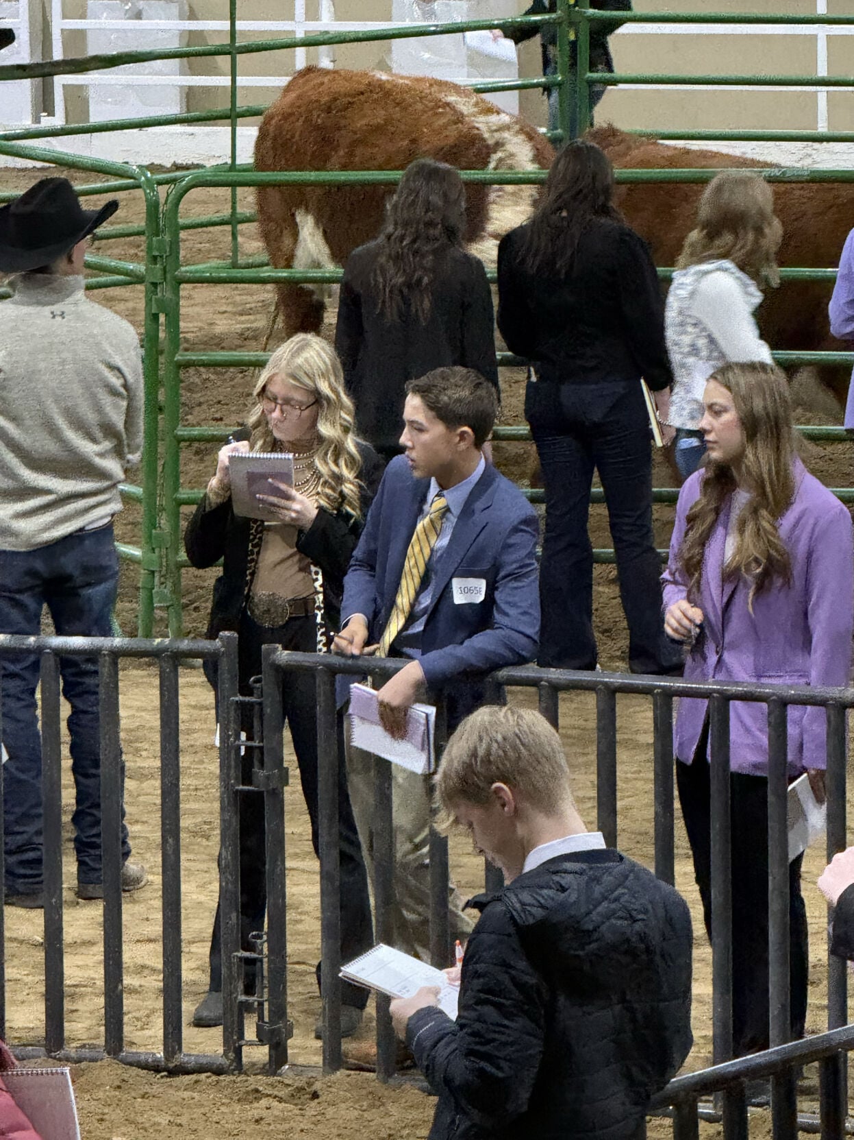 Johnson County livestock judging team earns international bid | Local ...