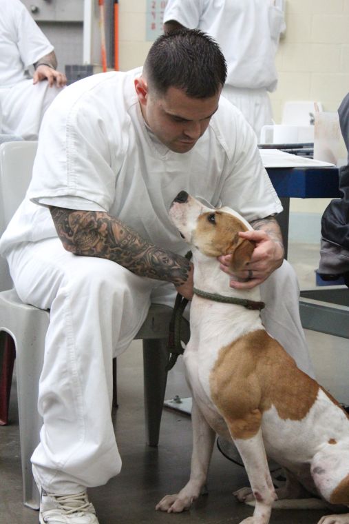 Prison pups Local News