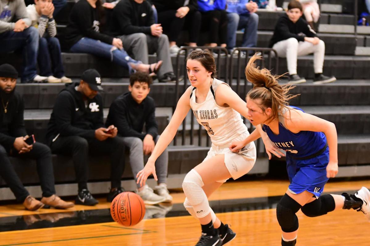 Lady Zebras Lead All District Team For 17 3a Girls Basketball