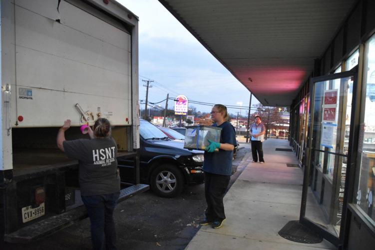 VIDEO) City shuts down Pet Depot | Local News ...