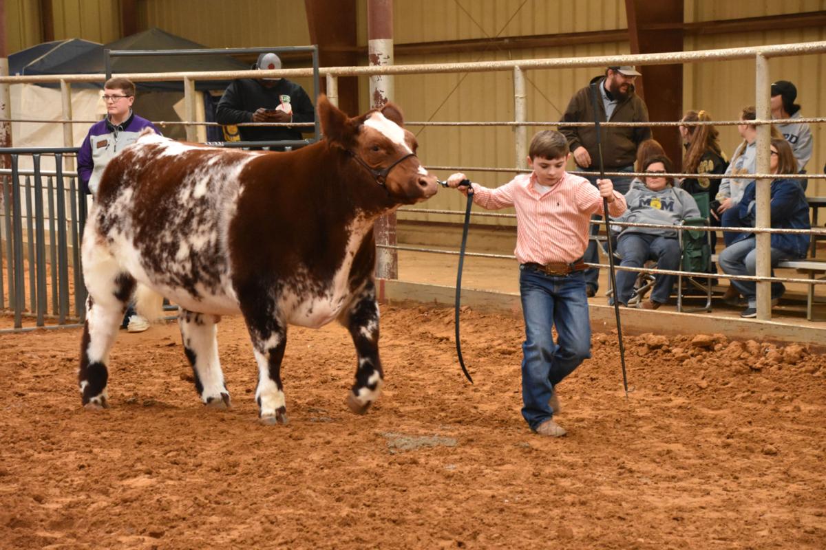 A ‘slam dunk winner’; Grady becomes six-time champion | Local News ...