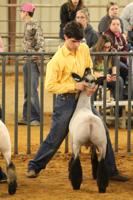 Come, Key earn top honors at lamb show