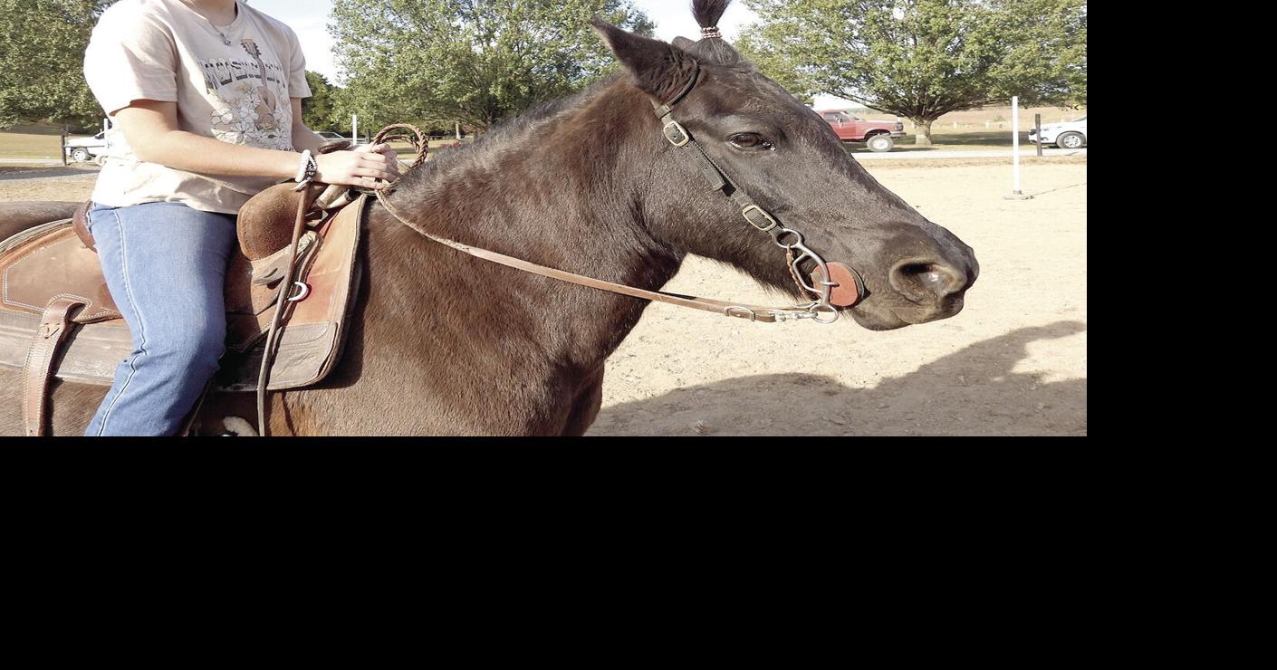 Dark Horse Rescue Ranch 4.jpg