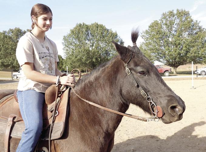 Dark Horse rescues horses and people | News | clevelandbanner.com