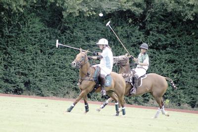 Polo.jpg