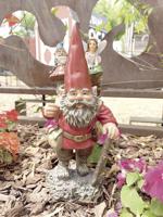 Roam with gnomes at Rock City