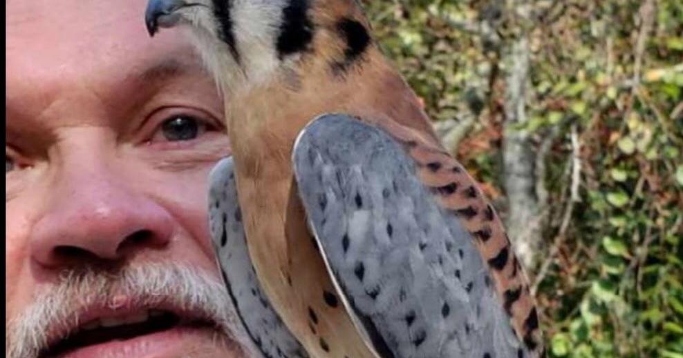UT Arboretum Society 'Identifying Local Birds of Prey” Zoom program